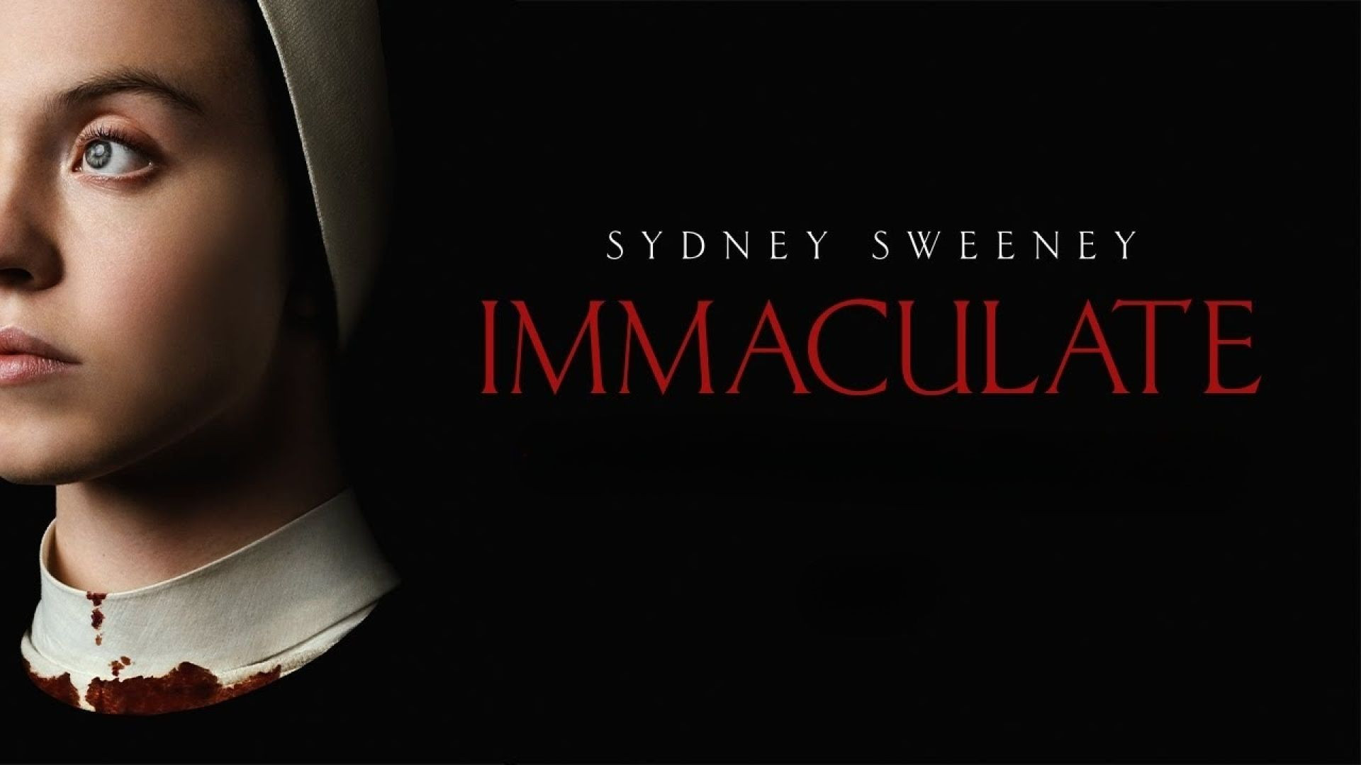 Immaculate (2024) English WEB-DL 480p