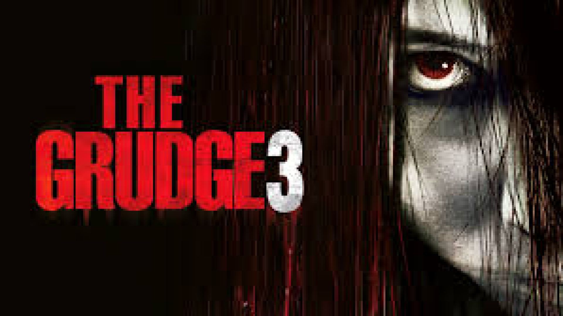 The Grudge 3 (2009) Dual Audio {Hindi-English} BluRay 480p